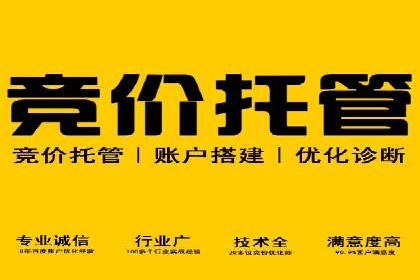 竞价托管实战案例：提升广告点击率与转化率